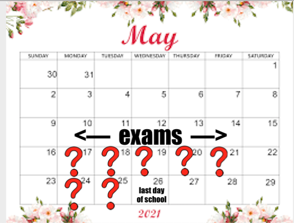 What Will Students Do After Exams?