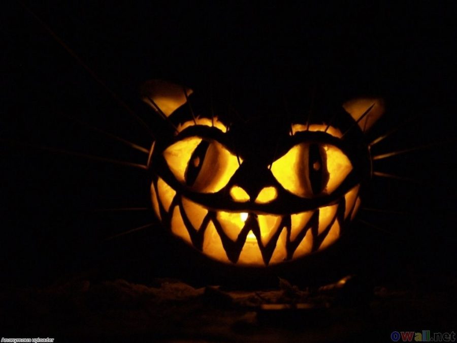 131-1314271_scary-jack-o-lantern-cat