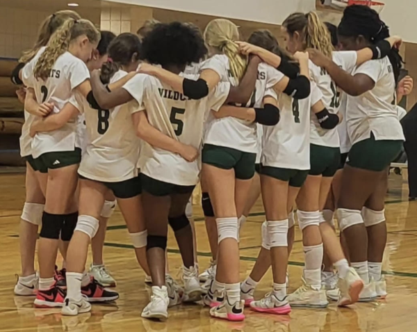 Spiking Success: Green and White Volleyball Season Recap