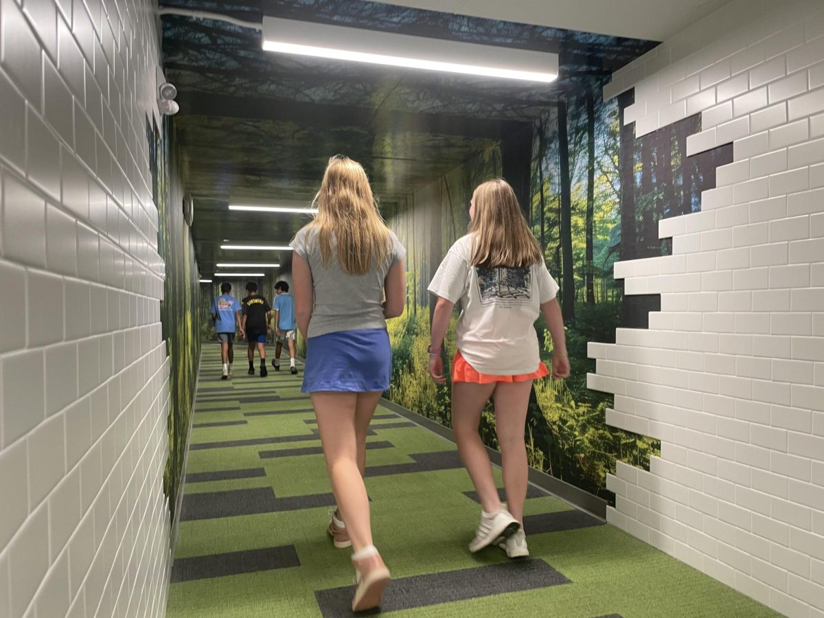Tunnel Reopens After Facelift